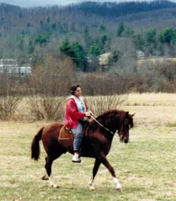 Image description