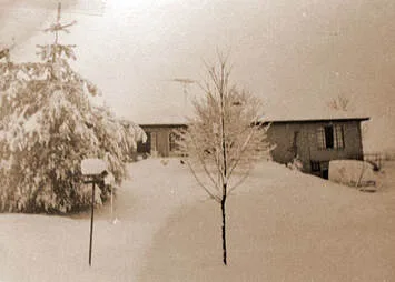 Image description